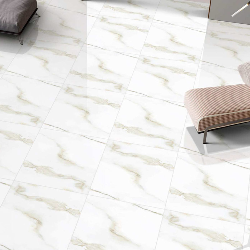 60X60 Glossy